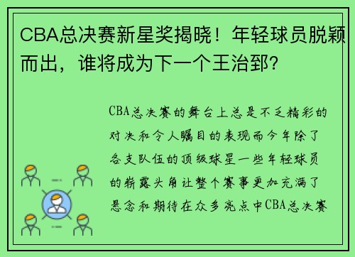CBA总决赛新星奖揭晓！年轻球员脱颖而出，谁将成为下一个王治郅？
