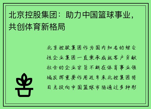 北京控股集团：助力中国篮球事业，共创体育新格局