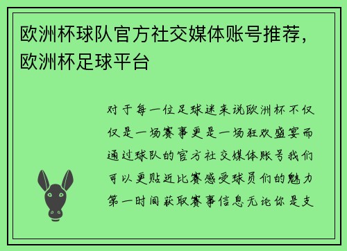 欧洲杯球队官方社交媒体账号推荐，欧洲杯足球平台