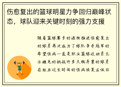伤愈复出的篮球明星力争回归巅峰状态，球队迎来关键时刻的强力支援