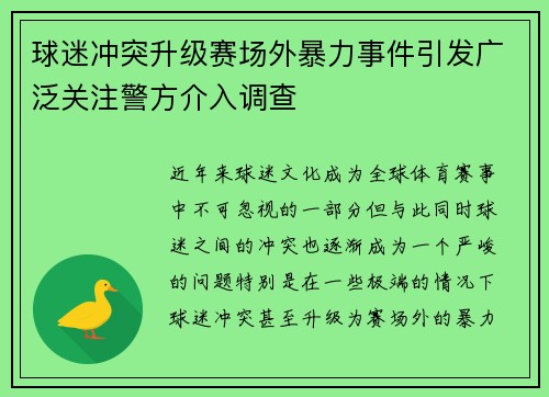 球迷冲突升级赛场外暴力事件引发广泛关注警方介入调查
