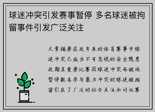 球迷冲突引发赛事暂停 多名球迷被拘留事件引发广泛关注