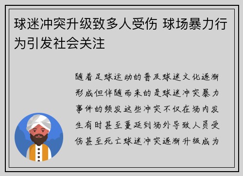 球迷冲突升级致多人受伤 球场暴力行为引发社会关注